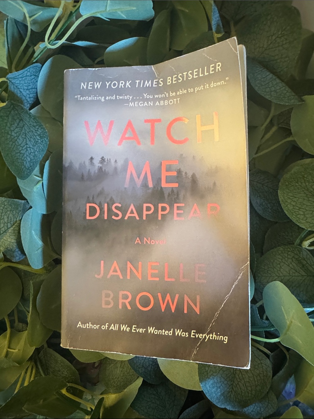 Watch Me Disappear by Janelle Brown
